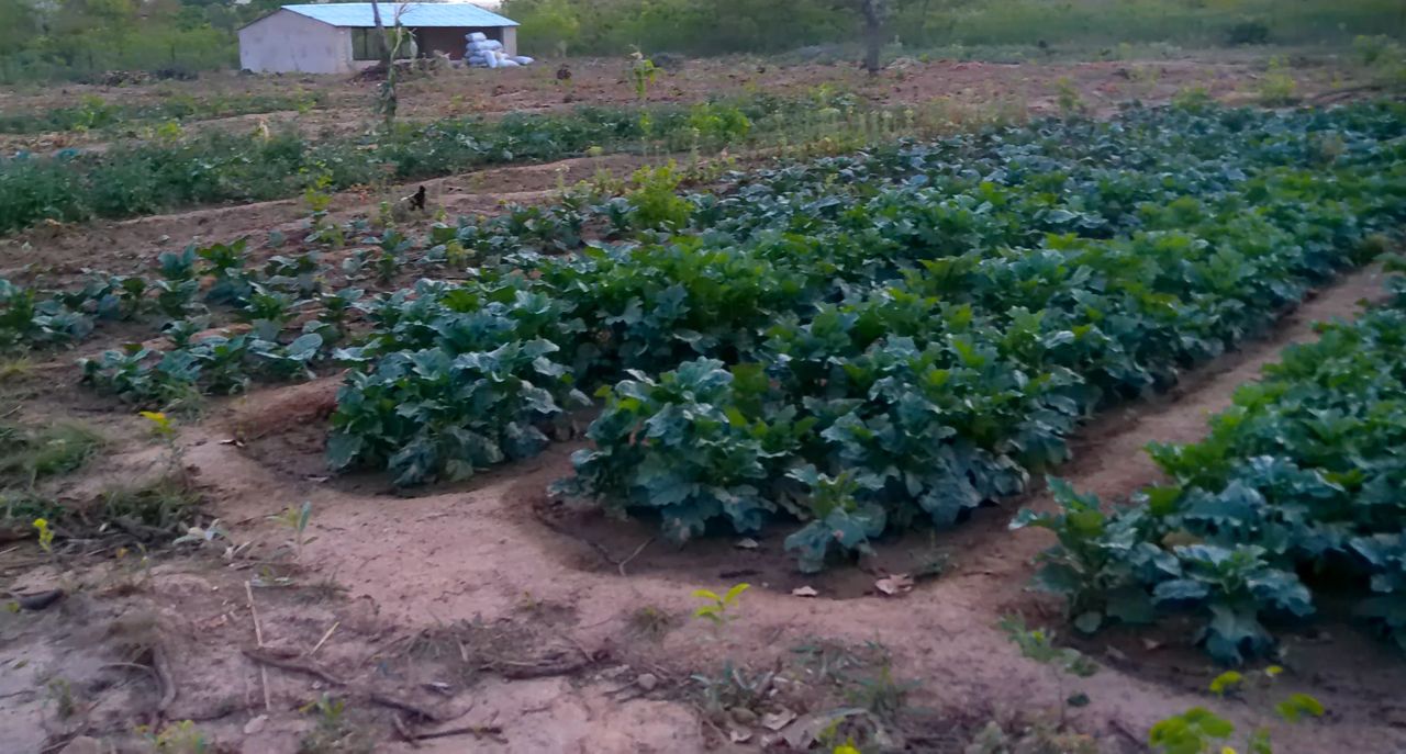 Plots and store