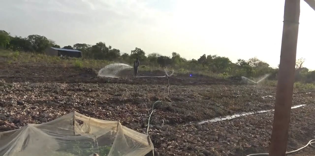 Irrigation par asperseurs