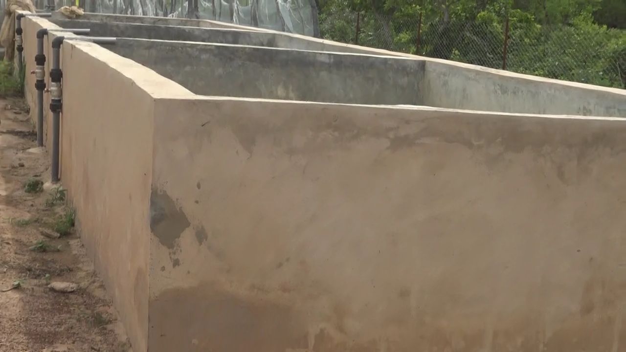 Pond equipment