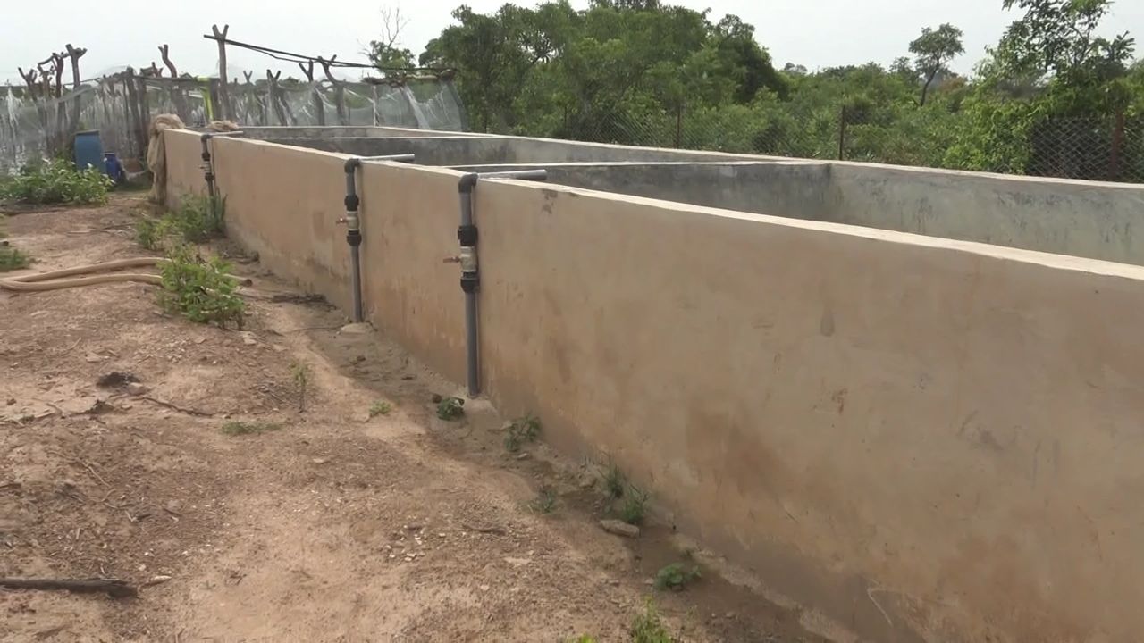 Fish ponds